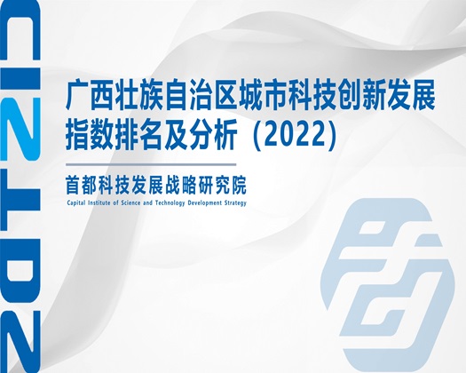 逼操逼视频网站免费看【成果发布】广西壮族自治区城市科技创新发展指数排名及分析（2022）